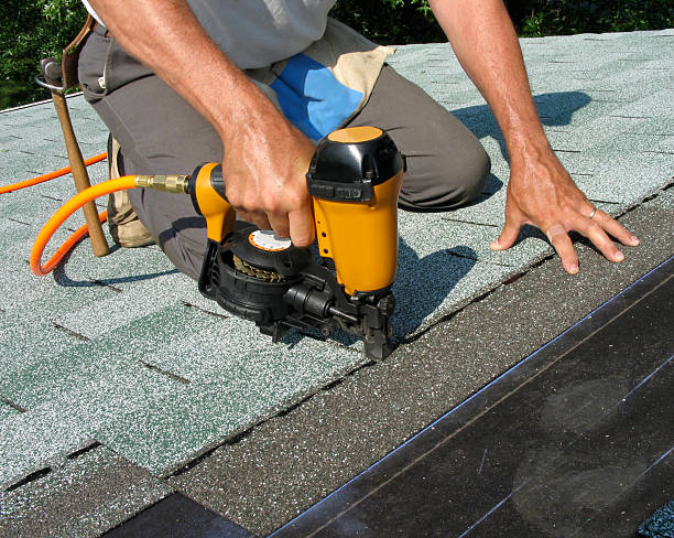 Best Roof Leak Repair  in Braidwood, IL