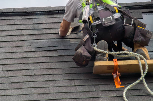 Best Storm Damage Roof Repair  in Braidwood, IL